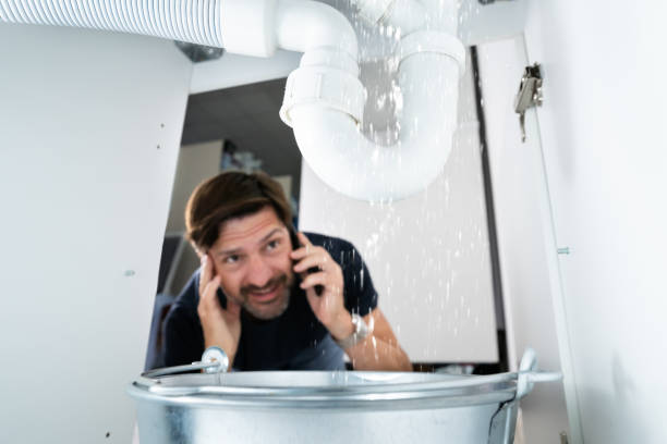 Best Septic Systems  in Vista, CA