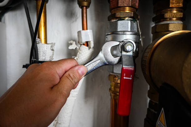 Best Same-Day Plumbing Service  in Vista, CA